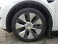 Tesla Model Y Long Range Dual AWD PANO/LEDER/360°/AUTO Weiß - thumbnail 17