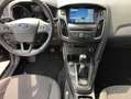 Ford Focus Titanium 1.5 TDCI Winter Paket Klimaautomatik - thumbnail 9