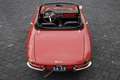 Alfa Romeo 1750 SPIDER VELOCE DUETTO Červená - thumbnail 8