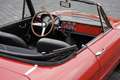 Alfa Romeo 1750 SPIDER VELOCE DUETTO Červená - thumbnail 3