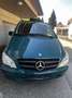 Mercedes-Benz Vito 113 CDI 4MATIC Kompakt Aut. Grün - thumbnail 3