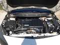 Opel Astra Astra 5p 1.7 cdti Cosmo 110cv Bianco - thumbnail 14