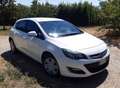 Opel Astra Astra 5p 1.7 cdti Cosmo 110cv Bianco - thumbnail 6