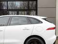 Jaguar F-Pace P400e 404PK AWD PHEV S | Black Pack | Meridian Aud Wit - thumbnail 23