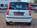 Fiat Panda 1.2 8V DynamicTÜV NEU+Garantie+Automatik Weiß - thumbnail 14