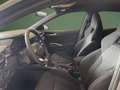 Skoda Fabia Monte Carlo/5JGarantie/Sitze schwarz/1,49%Aktion Grau - thumbnail 10