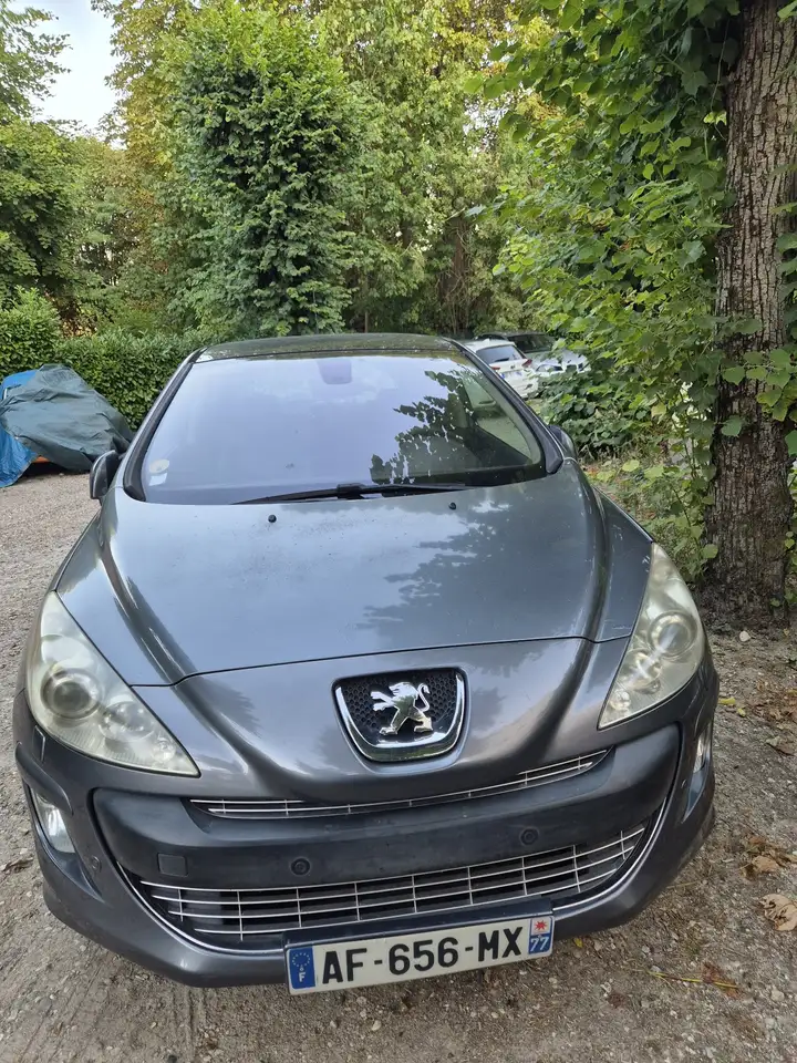 Peugeot 308 308