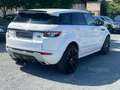 Land Rover Range Rover Evoque Pure Automatik - thumbnail 4
