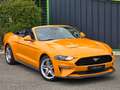 Ford Mustang Cabriolet Gt 5.0l V8 450 Bva10 Premium Arancione - thumbnail 4