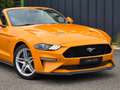 Ford Mustang Cabriolet Gt 5.0l V8 450 Bva10 Premium Arancione - thumbnail 5