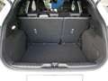 Ford Puma ST-Line X Blanco - thumbnail 8