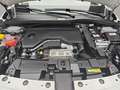 Fiat 600 1.2 T3 HYBRID DCT SPECIAL EDITION MJ25 Weiß - thumbnail 16
