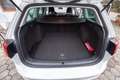 Volkswagen Golf Variant Golf Variant Sport Austria 1,2 TSI R-Line Weiß - thumbnail 6