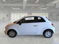 Fiat 500 1.0 70cv Ibrido Cult - thumbnail 5