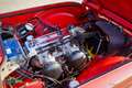 Triumph TR4 Surrey Top Rot - thumbnail 18