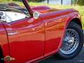 Triumph TR4 Surrey Top Rot - thumbnail 37