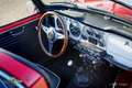 Triumph TR4 Surrey Top Rot - thumbnail 10