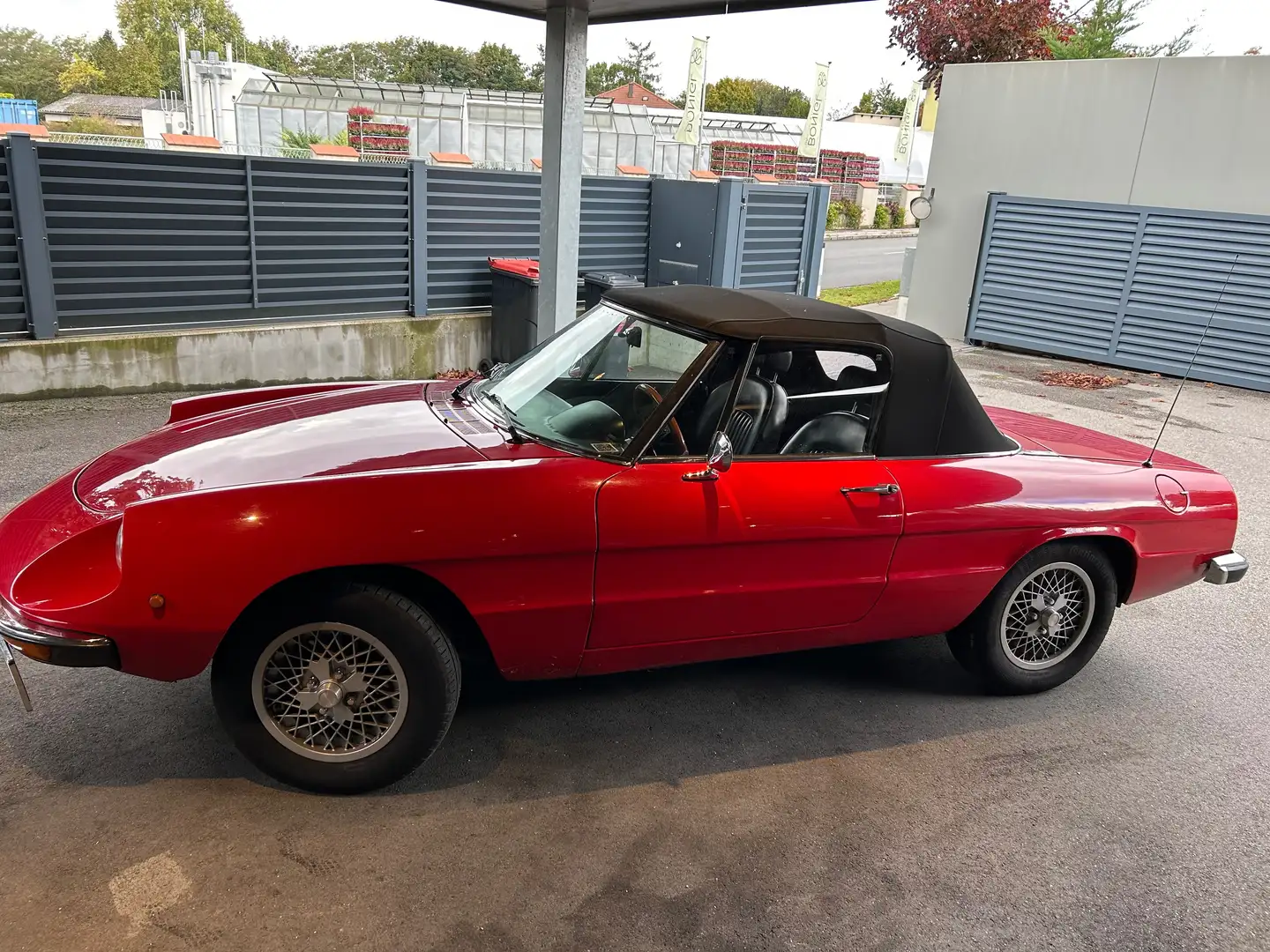 Alfa Romeo Spider Spider Fastback 1600 Rot - 2
