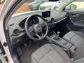 Audi Q2 30 TFSI sport Navi PDC SHZ Weiß - thumbnail 11