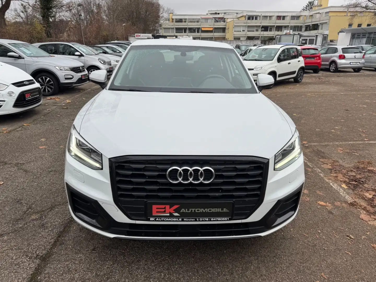 Audi Q2 30 TFSI sport Navi PDC SHZ Weiß - 2