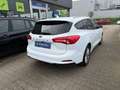 Ford Focus Turnier Titanium/LED/NAVI/GARNTIE/AHK/ Weiß - thumbnail 5