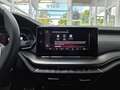 Skoda Octavia Limo RS Plus 4x4 Standheizung Canton Grau - thumbnail 33