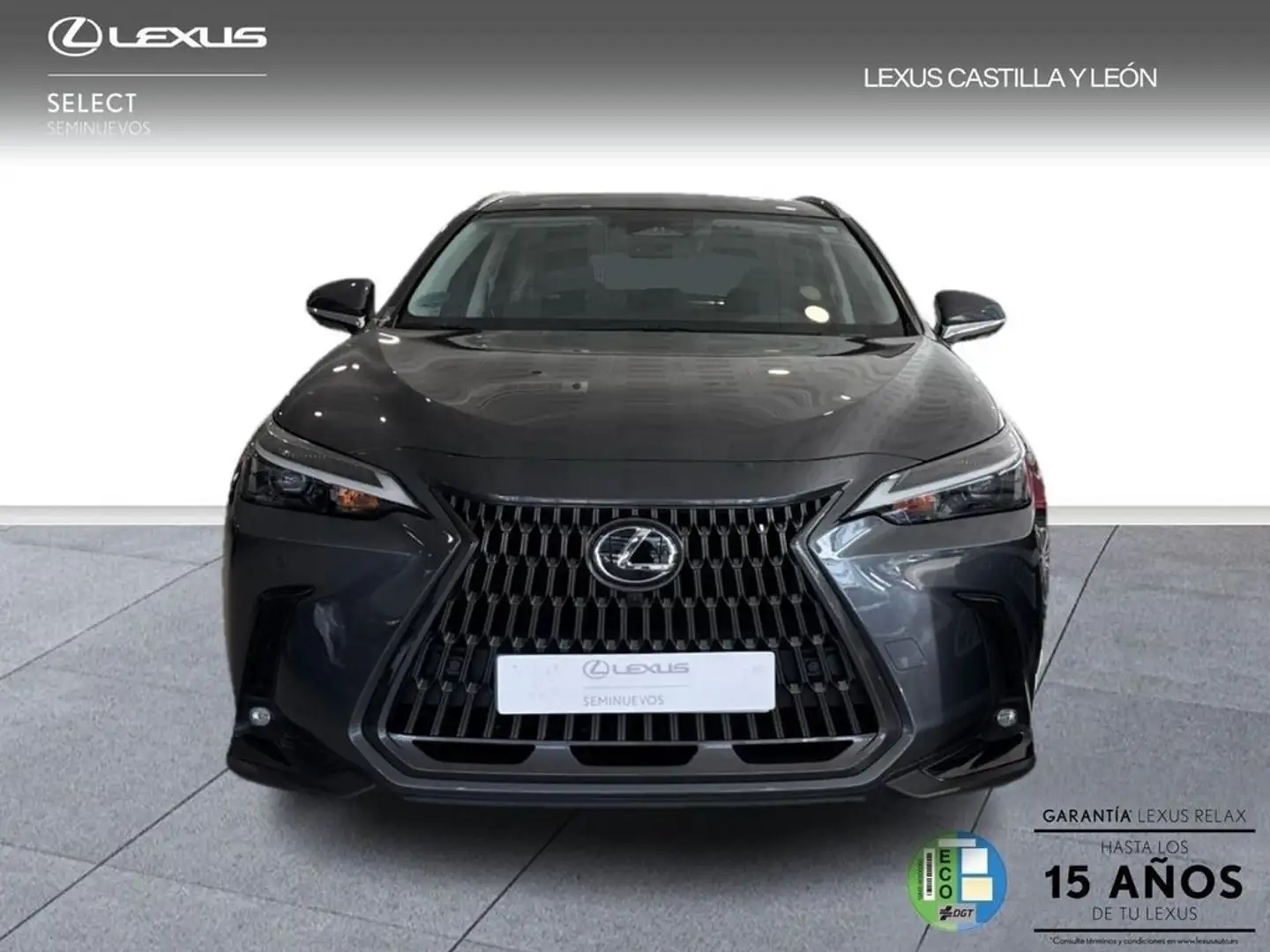 Lexus NX 300h 350h Executive 4WD Gris - 2