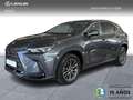 Lexus NX 300h 350h Executive 4WD Gris - thumbnail 1