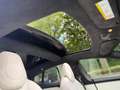 Tesla Model S 100D AWD Dual l Pano l Autopilot l Camera l Turbin Gris - thumbnail 31