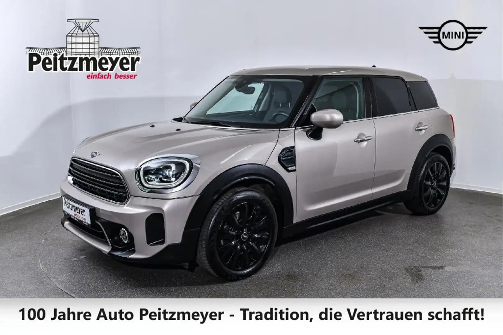 MINI One Countryman Classic Trim Gri - 1