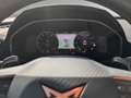 CUPRA Formentor VZ 2.0 TSI 4Drive LED+NAVI+RFK+ACC+SHZ Schwarz - thumbnail 16