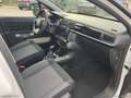 Citroen C3 PureTech 83 S&S Shine Bianco - thumbnail 11