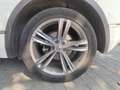 Volkswagen Tiguan 2.0TDI Sport 4Motion DSG 110kW Blanco - thumbnail 27
