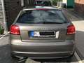 Audi A3 A3 1.6 TDI 99g DPF Beige - thumbnail 3
