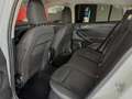 Ford Focus 1.5 EcoBlue 120 CV automatico SW Active Co-Pilot Bianco - thumbnail 12