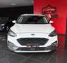 Ford Focus 1.5 EcoBlue 120 CV automatico SW Active Co-Pilot Bianco - thumbnail 5