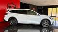 Ford Focus 1.5 EcoBlue 120 CV automatico SW Active Co-Pilot Bianco - thumbnail 7