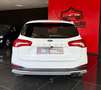 Ford Focus 1.5 EcoBlue 120 CV automatico SW Active Co-Pilot Bianco - thumbnail 6