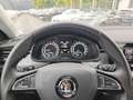 Skoda Scala Ambition 1.6 TDI App-Navi Fernlichtassistent Rouge - thumbnail 11