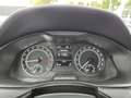 Skoda Scala Ambition 1.6 TDI App-Navi Fernlichtassistent Rouge - thumbnail 12