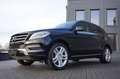 Mercedes-Benz ML 250 CDI BlueTec Schwarz - thumbnail 29