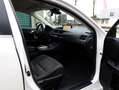 Lexus CT 200h Business Launch Edition | Premium Navi | Adaptive Weiß - thumbnail 10