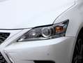 Lexus CT 200h Business Launch Edition | Premium Navi | Adaptive Weiß - thumbnail 34