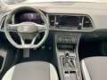 SEAT Ateca Reference Edition 1.0 TSI Grau - thumbnail 4
