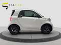 smart forTwo 1.0 71cv Passion automatica Tetto GPL 2018 Bianco - thumbnail 4