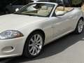 Jaguar XK Cabrio 3.5 V8 auto - thumbnail 6