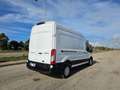 Ford Transit 330 2.0TDCI ECOBLUE 130CV L3H3 Bianco - thumbnail 6
