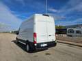 Ford Transit 330 2.0TDCI ECOBLUE 130CV L3H3 Bianco - thumbnail 10