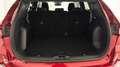 Ford Kuga 2.5 Duratec 180ch Hybrid FlexiFuel Titanium Powershift - thumbnail 14