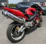 Honda CBR 900 RR Fireblade Rouge - thumbnail 3